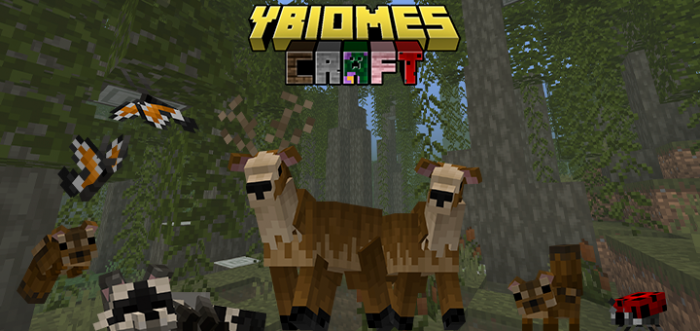 yBiomesCraft