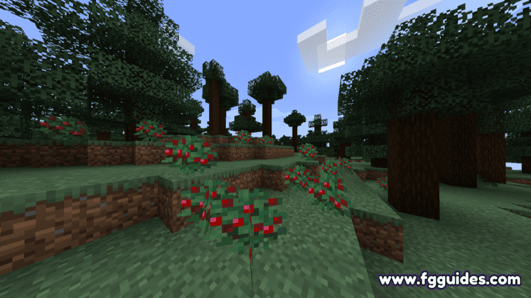 Berry Fields