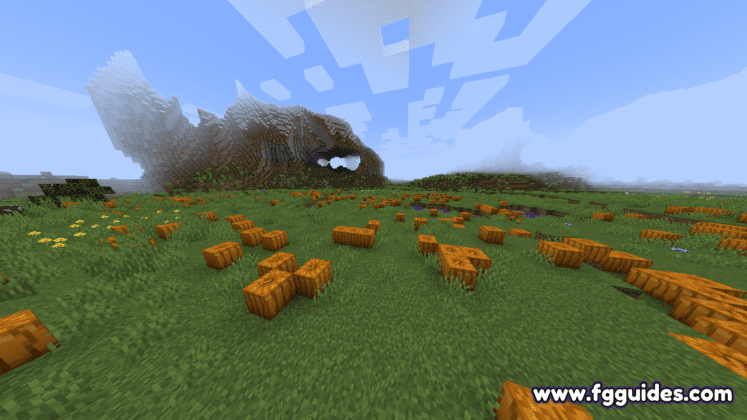 Pumpkin Patch
