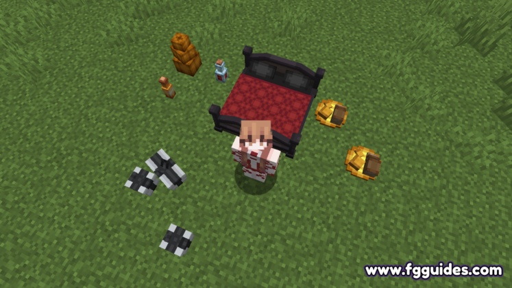 A pretty bed and other decorations