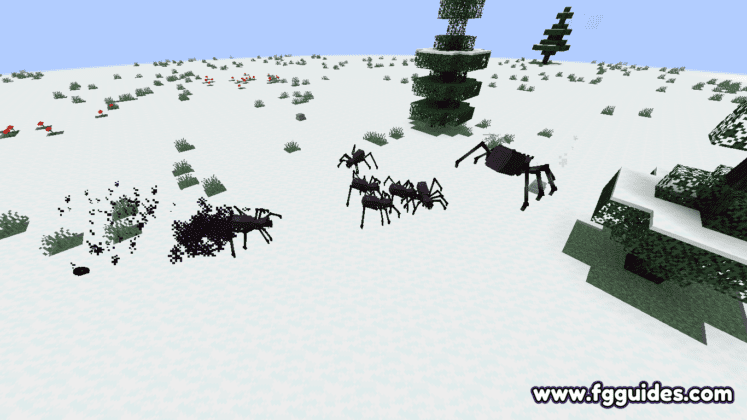 Spiders in the wild