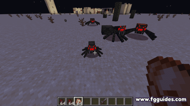 Baby Spider