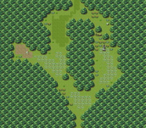 Holy Forest, 3
