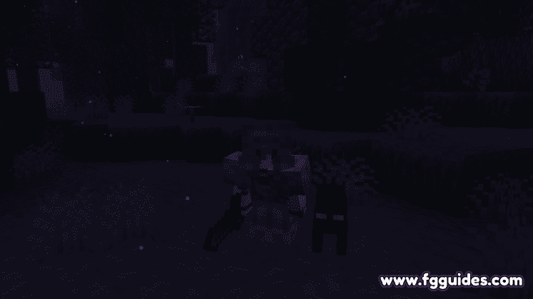 Me and a cute cat