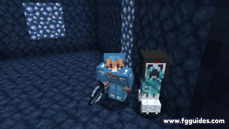 Me and the frozen Creeper